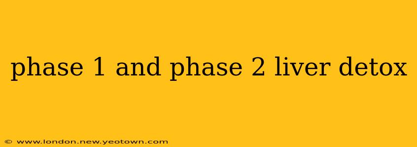 phase 1 and phase 2 liver detox