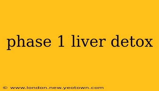 phase 1 liver detox