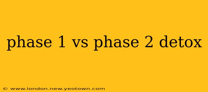 phase 1 vs phase 2 detox