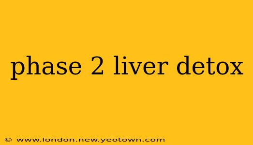 phase 2 liver detox