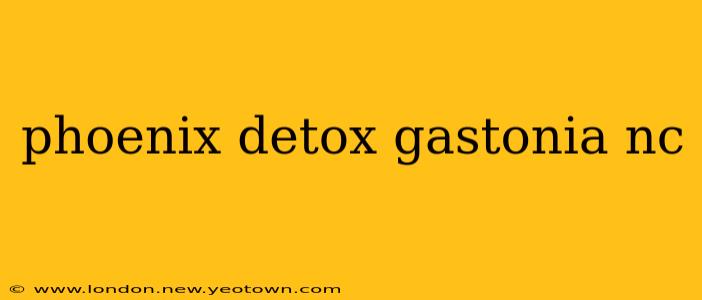 phoenix detox gastonia nc