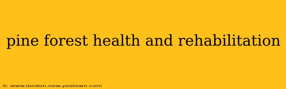 pine forest health and rehabilitation