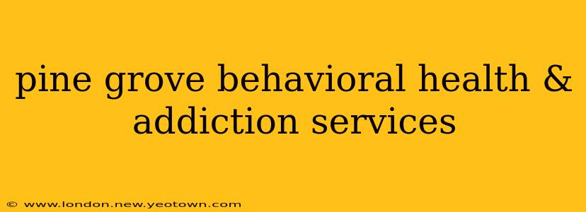 pine grove behavioral health & addiction services