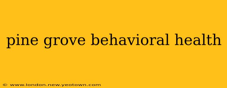 pine grove behavioral health