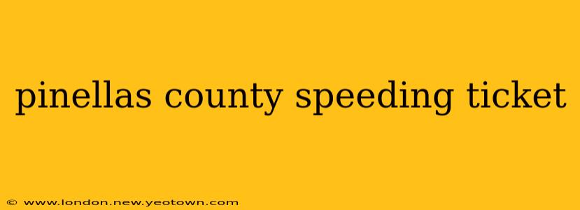 pinellas county speeding ticket