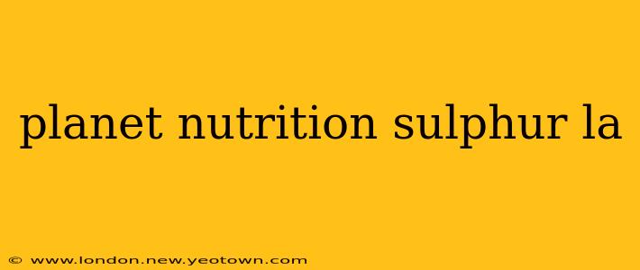 planet nutrition sulphur la