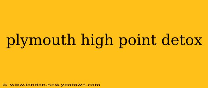 plymouth high point detox