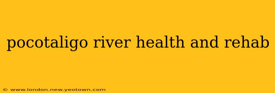 pocotaligo river health and rehab