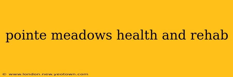 pointe meadows health and rehab