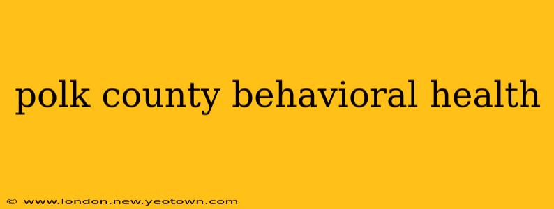 polk county behavioral health