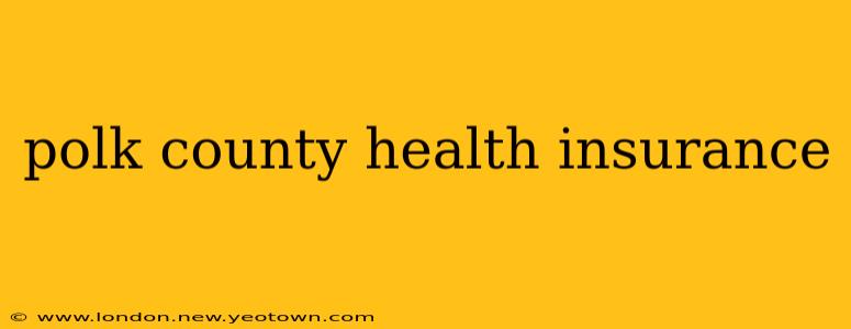 polk county health insurance