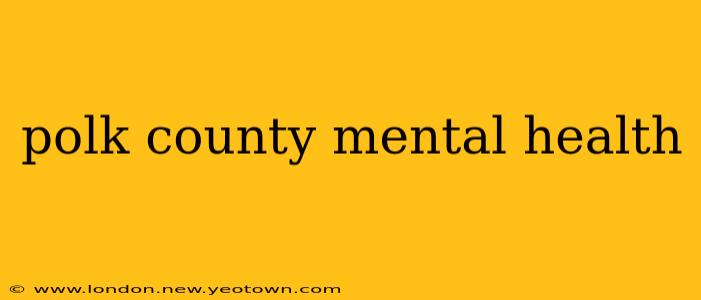 polk county mental health