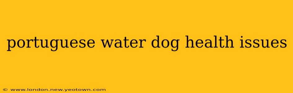 portuguese water dog health issues