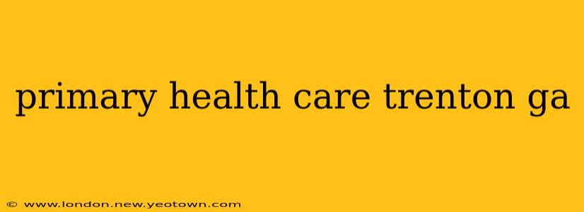 primary health care trenton ga