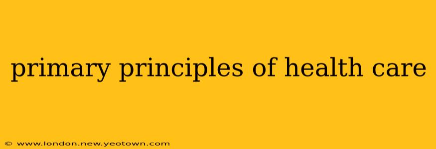 primary principles of health care