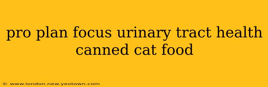 pro plan focus urinary tract health canned cat food