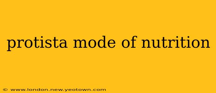 protista mode of nutrition