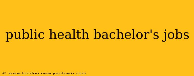 public health bachelor's jobs