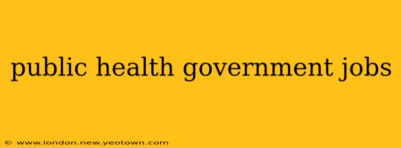 public health government jobs