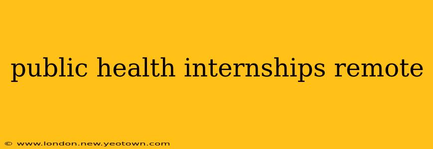 public health internships remote