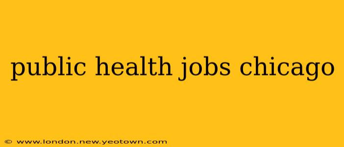public health jobs chicago
