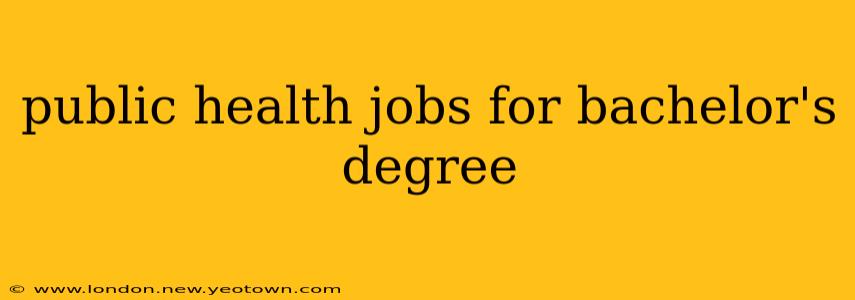 public health jobs for bachelor's degree