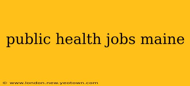 public health jobs maine