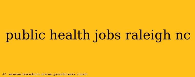 public health jobs raleigh nc