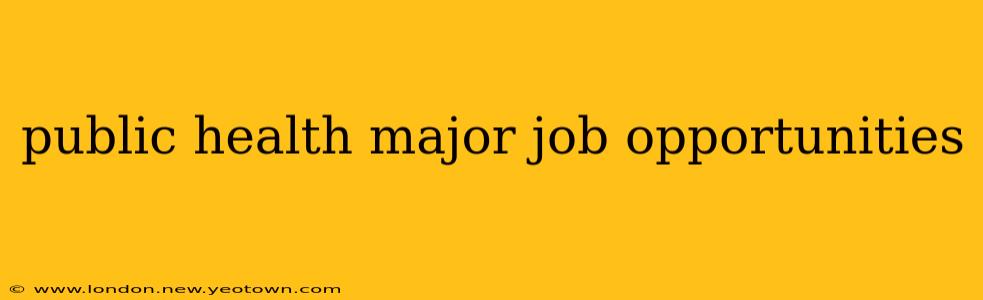 public health major job opportunities
