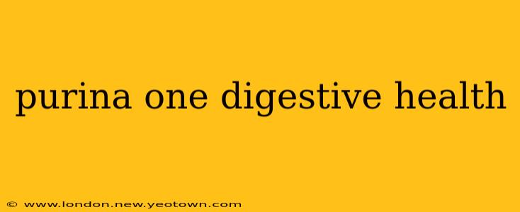 purina one digestive health