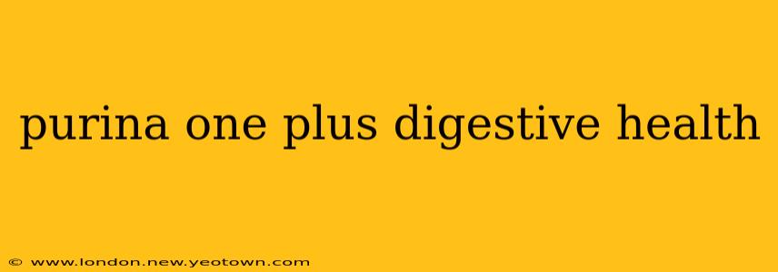 purina one plus digestive health