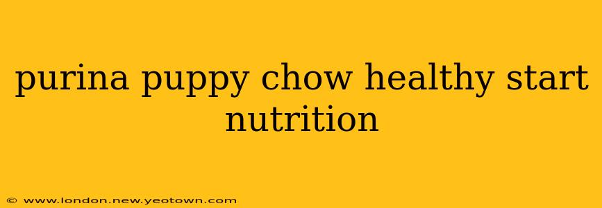 purina puppy chow healthy start nutrition