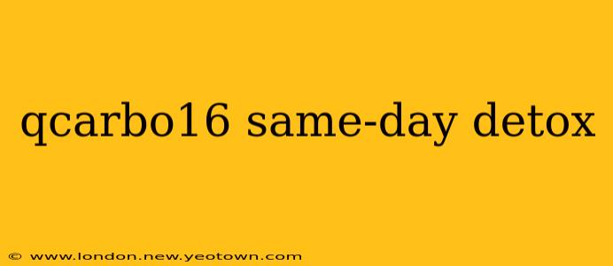 qcarbo16 same-day detox