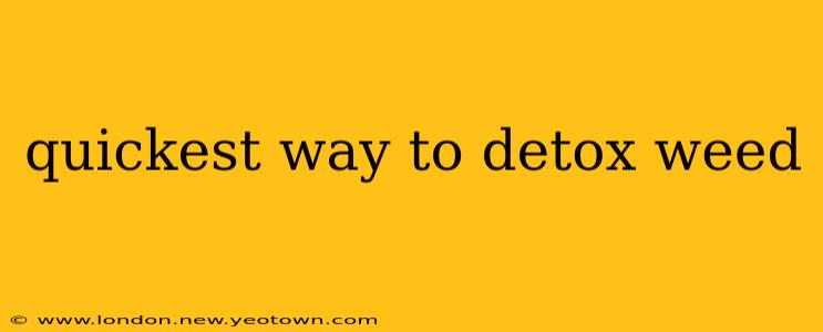 quickest way to detox weed