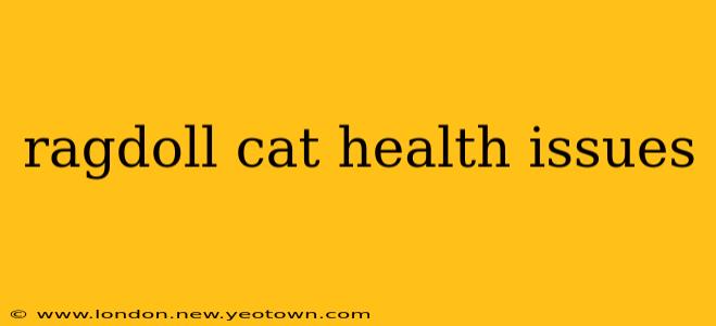 ragdoll cat health issues