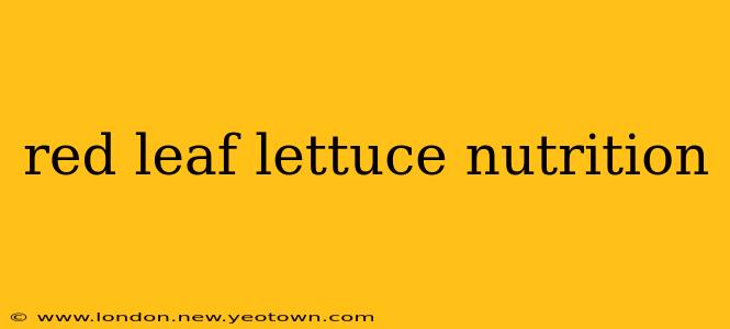 red leaf lettuce nutrition