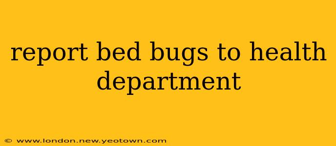 report bed bugs to health department
