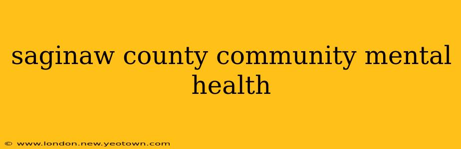saginaw county community mental health