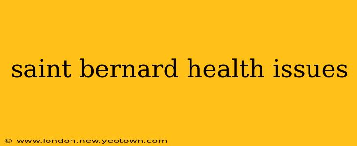 saint bernard health issues