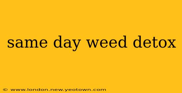 same day weed detox