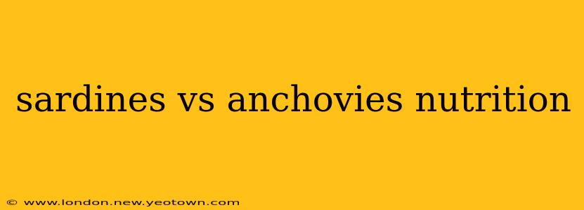 sardines vs anchovies nutrition
