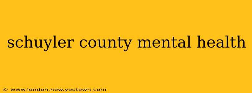 schuyler county mental health