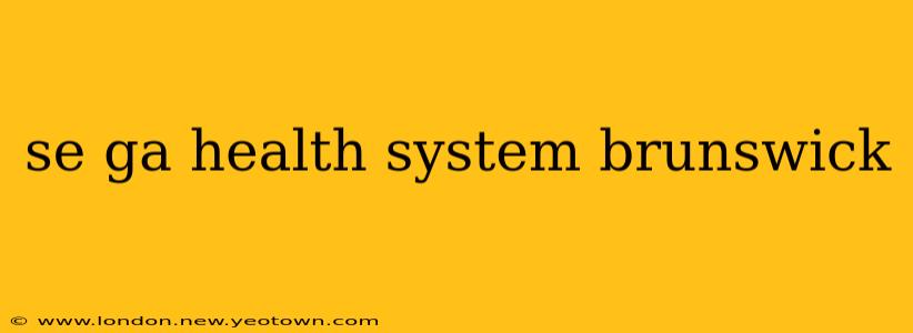 se ga health system brunswick