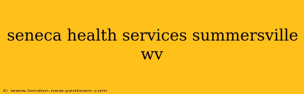 seneca health services summersville wv