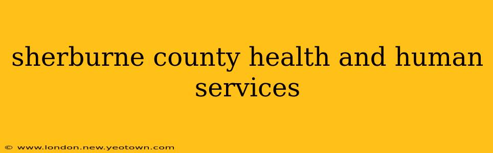 sherburne county health and human services