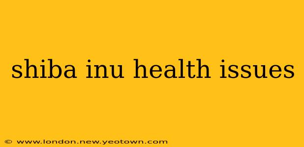 shiba inu health issues