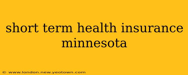 short term health insurance minnesota