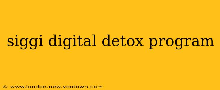 siggi digital detox program