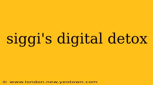 siggi's digital detox