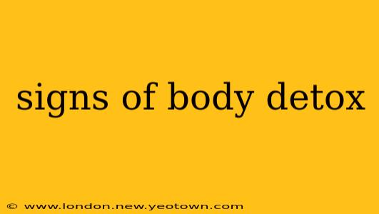 signs of body detox